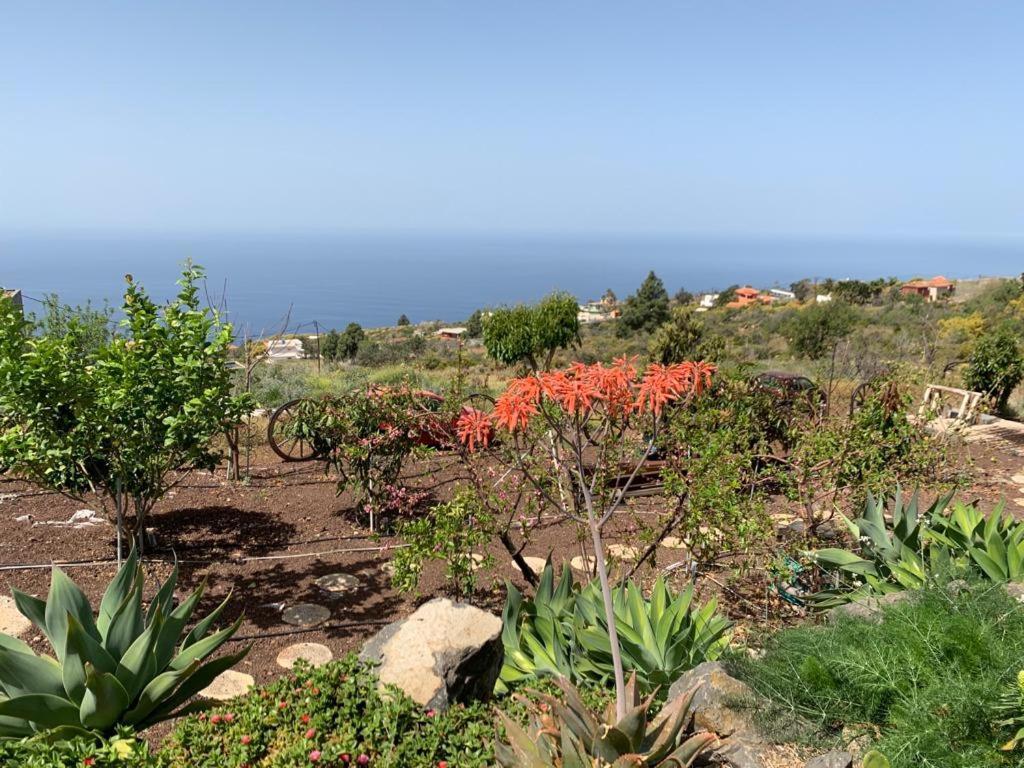 טיחראפה Hrlos Piratas - Ferien Haus La Palma - Good Wlan !! מראה חיצוני תמונה