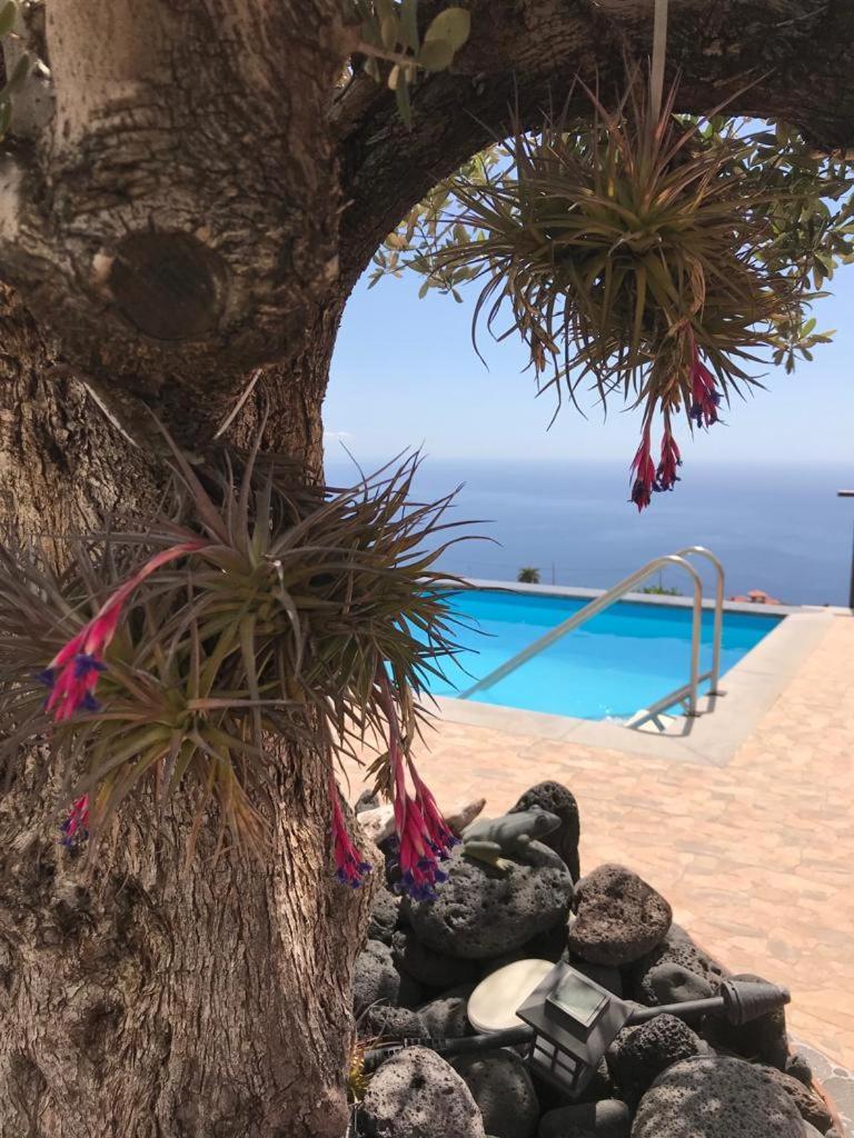טיחראפה Hrlos Piratas - Ferien Haus La Palma - Good Wlan !! מראה חיצוני תמונה